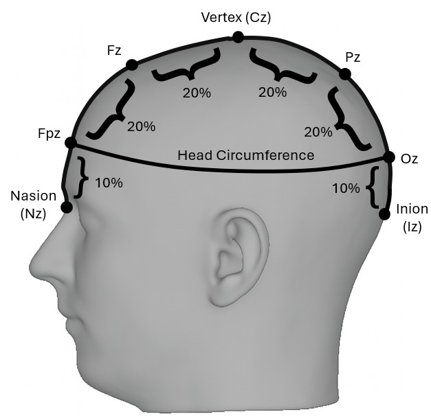 Head Circumference Measurement